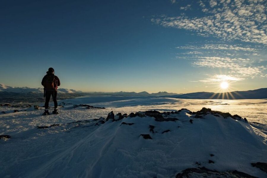 From Tromsø: Snowshoe Hike in the Arctic - Wildlife and Ecosystem Talk You Can Actually Use While You Walk