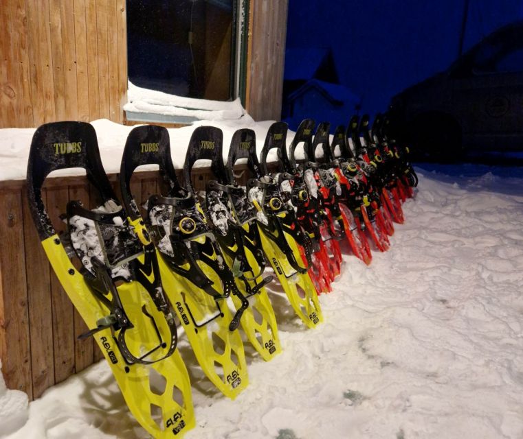 From Tromsø: Snowshoe Hike in the Arctic - When the Fun Turns into Snow Sliding and Hot Chocolate