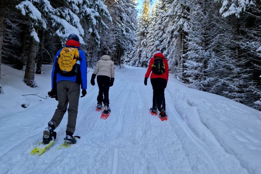 From Tromsø: Snowshoe Hike in the Arctic - Ersfjordbotn on Snowshoes: Views, Timing, and the Pace That Keeps You Moving