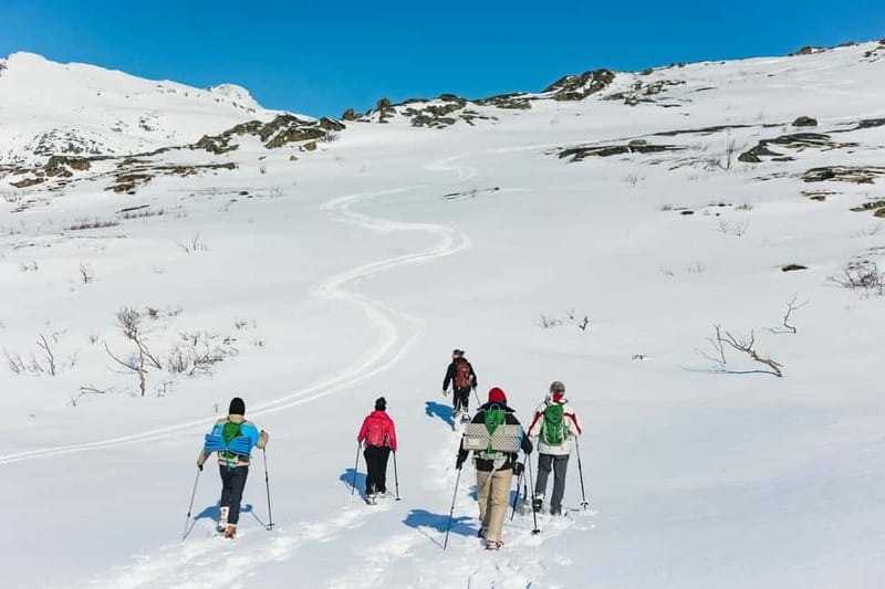From Tromsø: Snowshoeing Hike with Picnic Lunch and Photos - When the weather changes fast, you still get a good day