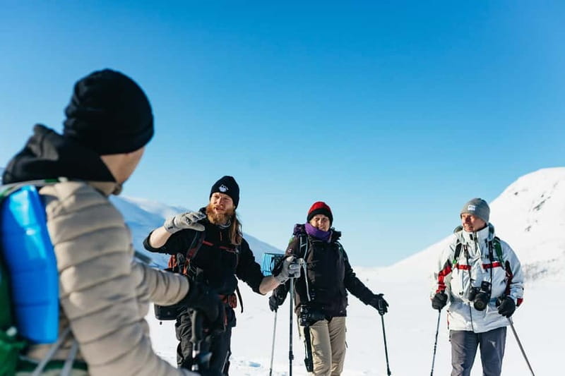 From Tromsø: Snowshoeing Hike with Picnic Lunch and Photos - The hike up the small mountain, with wildlife in the mix