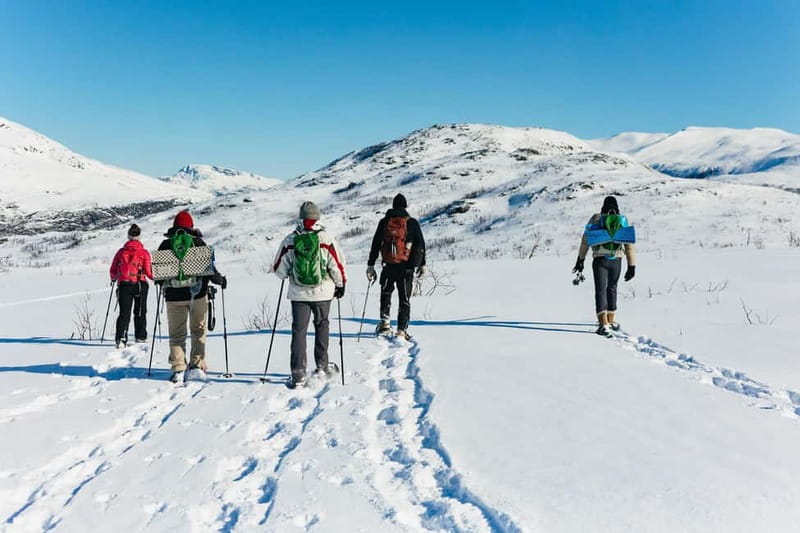 From Tromsø: Snowshoeing Hike with Picnic Lunch and Photos - Snowshoes, thermal gear, and what you wear makes or breaks it