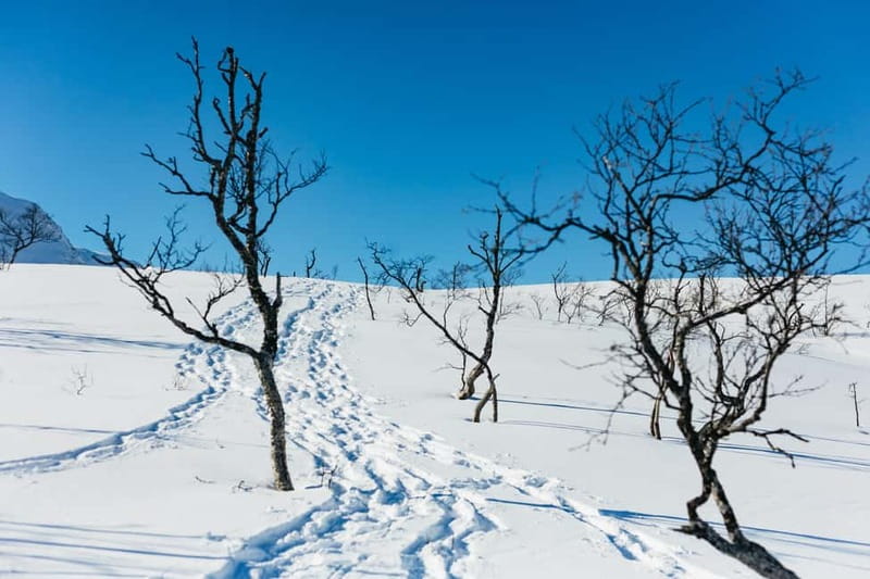 From Tromsø: Snowshoeing Hike with Picnic Lunch and Photos - Stop-by-stop: what happens during the Kvaløya time