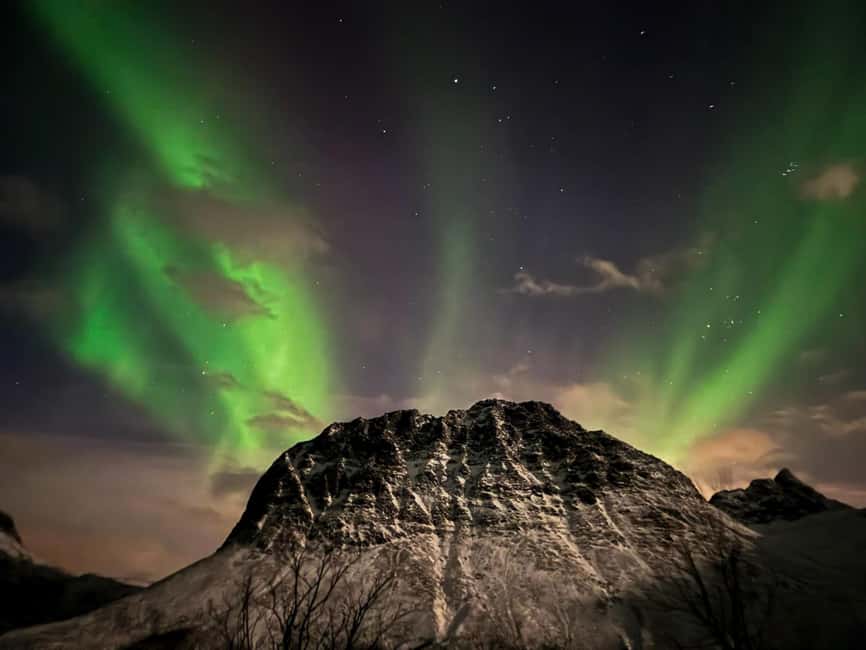 Full Night Magic of the Arctic Lights in Tromso - Logistics that matter more than people think, toilets, alcohol, and drops