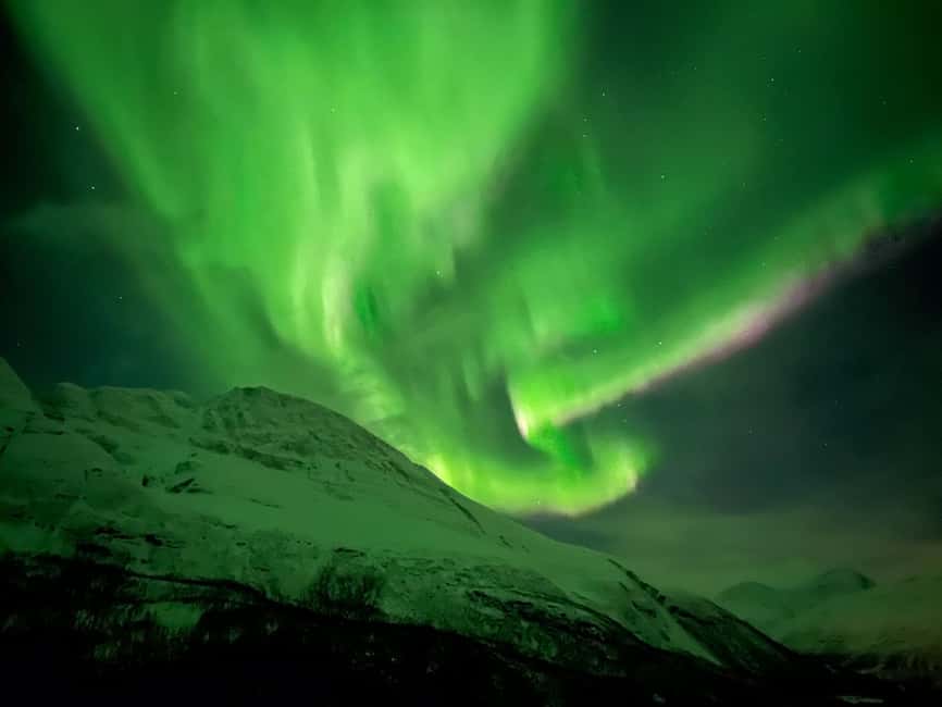Full Night Magic of the Arctic Lights in Tromso - How the route chase works in Tromsø, weather then scenery