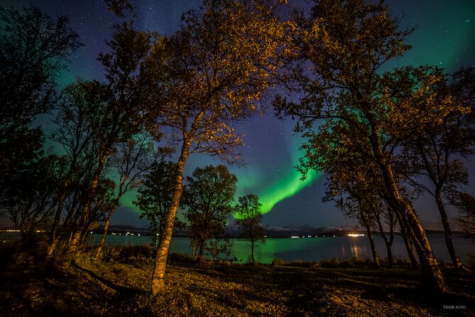 Full Night Magic of the Northern Lights in Tromso - Key Points That Matter for Your Northern Lights Night