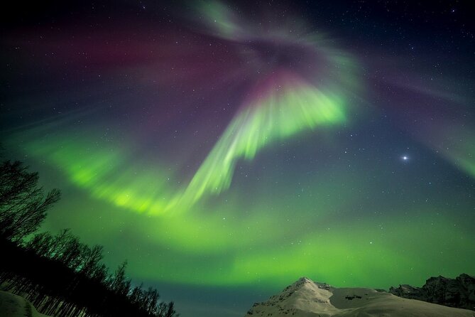 Full Night Magic of the Northern Lights in Tromso - The Evening Rhythm: Stops, Landmarks, Reindeer Possibilities, and Photo Moments