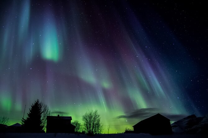 Full Night Magic of the Northern Lights in Tromso - Bonfire Breaks, Warm Drinks, and What to Wear in Tromsø Cold