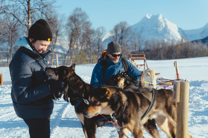 Fun & Easy Dog Sledding Adventure from Tromsø - Early Bird Tour - The Bus Transfer to the Husky Farm Is Part of the Experience