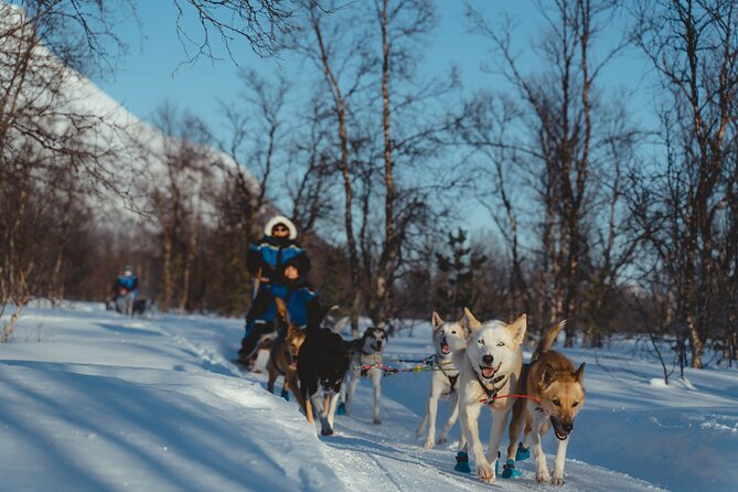 Fun & Easy Dog Sledding Adventure from Tromsø - Early Bird Tour - What You’ll Do on the Ride (and How It Fits Into 4.5 Hours)