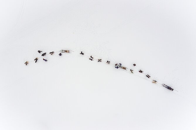 Fun & Easy Dog Sledding Adventure from Tromsø - Early Bird Tour - If Snow Is Limited, You Might Still Be Riding