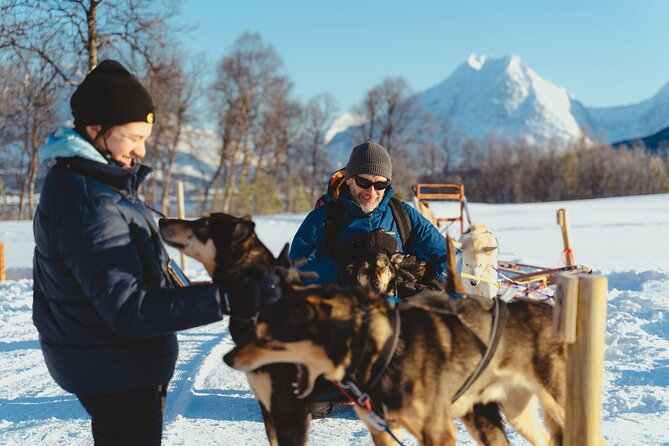 Fun & Easy Dog Sledding Adventure from Tromsø - Noon Tour - Husky Farm Time: Cuddles, Dog Personalities, And Training Insight