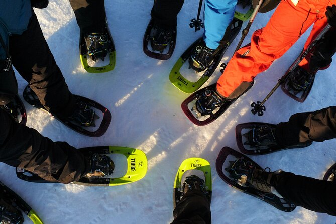 Guided easy snowshoeing with a visit to local café - Why This Tromso Snowshoeing Feels Like Real Winter Living