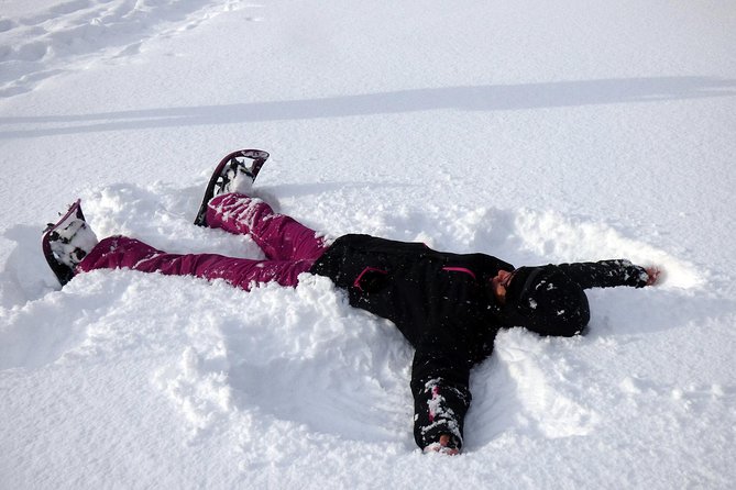 Guided easy snowshoeing with a visit to local café - The 9am Start and How You Get to Malangen