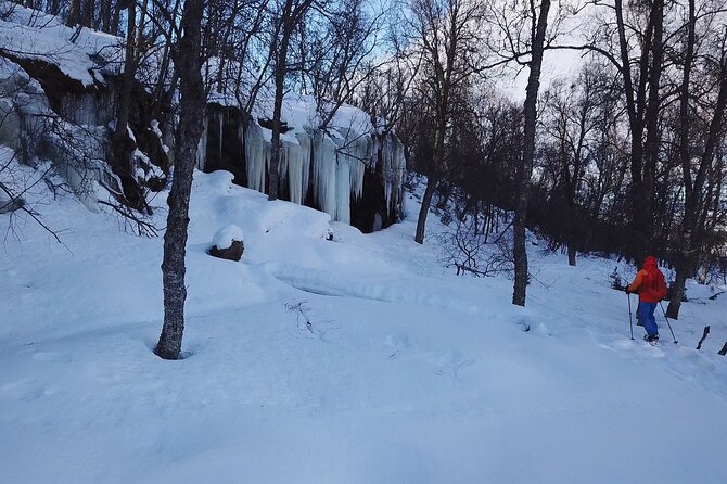 Guided easy snowshoeing with a visit to local café - The Role of Your Guide, and Why It Matters