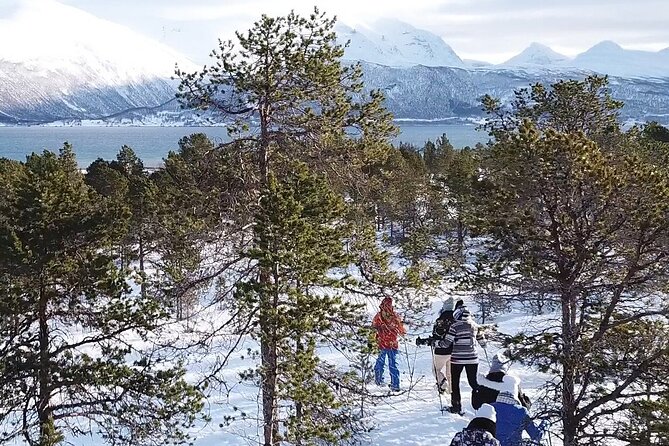 Guided easy snowshoeing with a visit to local café - What Time Feels Like: Blue Hours, Snow, and Getting Your Bearings