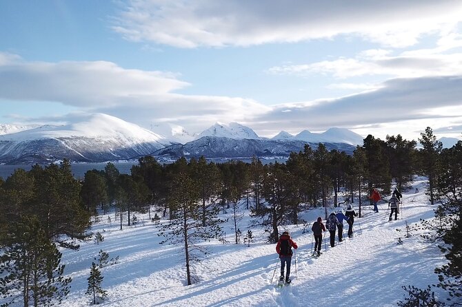 Guided easy snowshoeing with a visit to local café - Who Should Book This Tour, and Who Might Want a Different Style