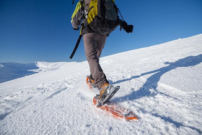 Guided Morning Snowshoe Hike with Huskies - Tromsø and Kvaløya views, with huskies in the mix