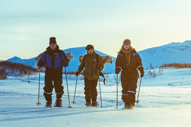 Guided Morning Snowshoe Hike with Huskies - Snowshoeing basics for first-timers and slower walkers