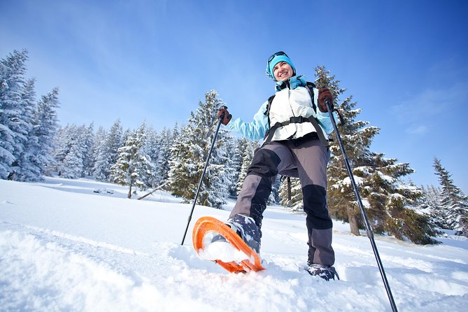 Guided Morning Snowshoe Hike with Huskies - Clothing, comfort, and food breaks on deep Arctic snow