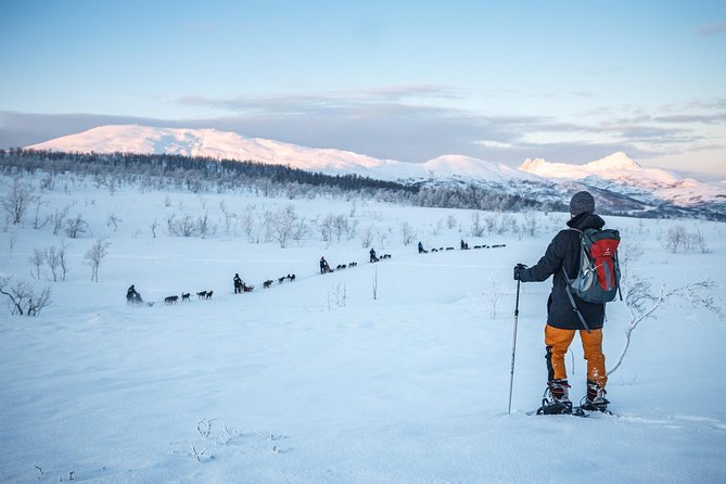 Guided Morning Snowshoe Hike with Huskies - Meet the huskies at Tromso Villmarkssenter, plus puppy time