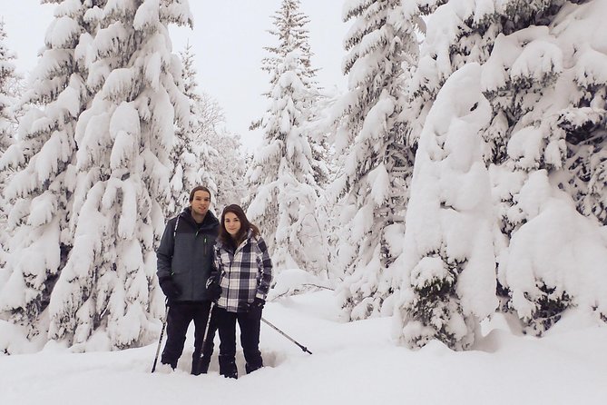Guided Snowshoe Walk on Tromsoya Island in Tromso - Key Things I’d Watch For Before You Go