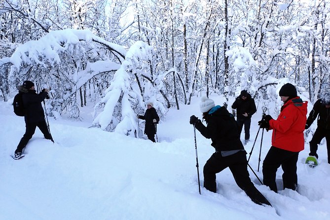 Guided Snowshoe Walk on Tromsoya Island in Tromso - Why Tromsøya Island Snowshoeing Works So Well for First Timers