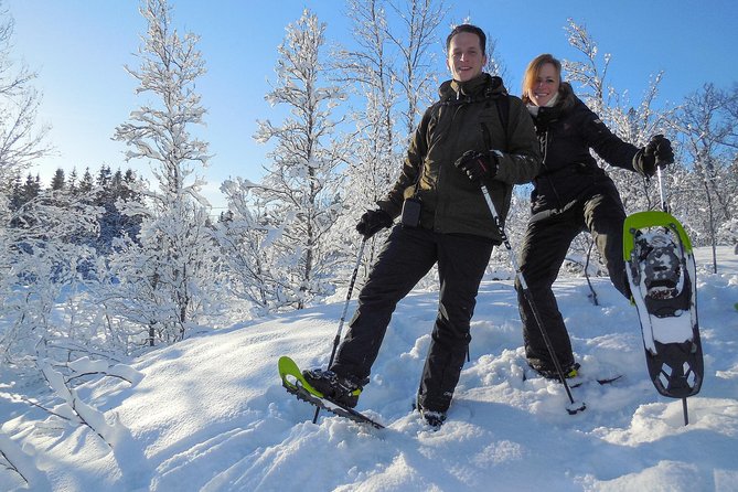 Guided Snowshoe Walk on Tromsoya Island in Tromso - From Tromsø Outdoor to the Trail: The Simple Plan That Saves Time