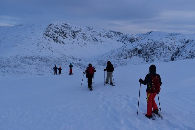 Guided Snowshoe Walk on Tromsoya Island in Tromso - Guides and Group Size: How You Get Personal Attention on a Max-15 Tour