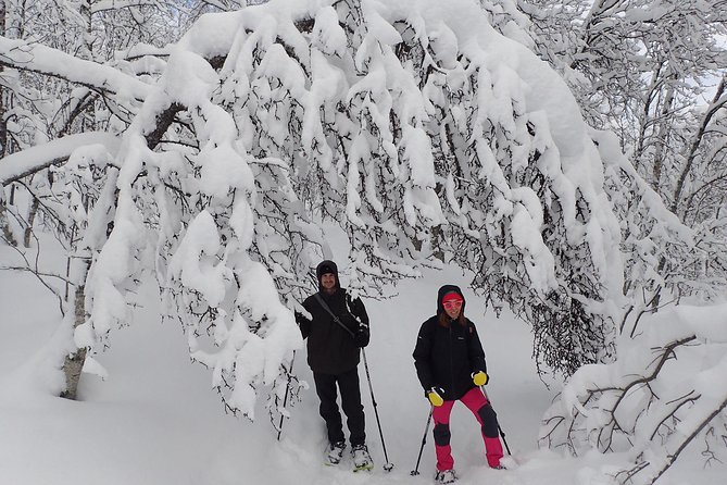 Guided Snowshoe Walk on Tromsoya Island in Tromso - Transportation and Timing: The 10:00 Start Helps You Enjoy the Light