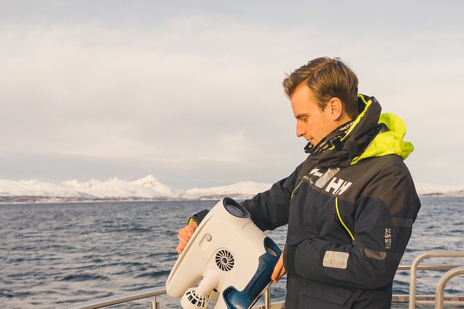 Half Day Arctic Fjord Cruise from Tromso - Key things that make this cruise worth your time