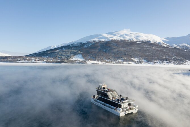 Half Day Arctic Fjord Cruise from Tromso - A short Arctic fjord day that feels like more than sightseeing