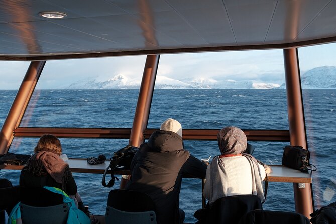 Half Day Arctic Fjord Cruise from Tromso - Kvaloya and the fishing facility stop: history, ecology, and tastings