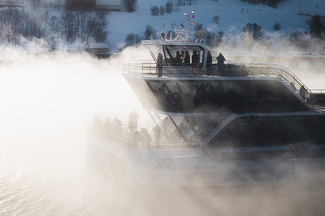 Half Day Arctic Fjord Cruise from Tromso - The guide voices: how the commentary turns the trip into a story