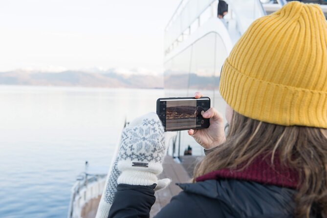 Half Day Arctic Fjord Cruise from Tromso - Why Ramfjorden is more than a pretty stop
