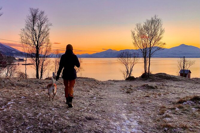 Half-Day Scenic Wildlife & Photographic Fjord Tour. - The Photography Coaching: What It Means for Your iPhone or Camera