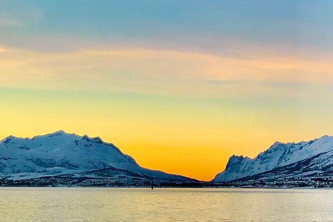 Half-Day Scenic Wildlife & Photographic Fjord Tour. - Timing: What 4 to 5 Hours Looks Like on the Ground