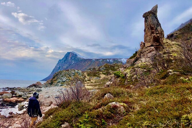 Half-Day Scenic Wildlife & Photographic Fjord Tour. - Price of $193.31: Is It Good Value for Tromsø?
