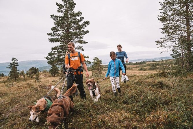 Husky Hike and Puppy Visit with Lunch - Husky power, arctic air, and what this day is really like