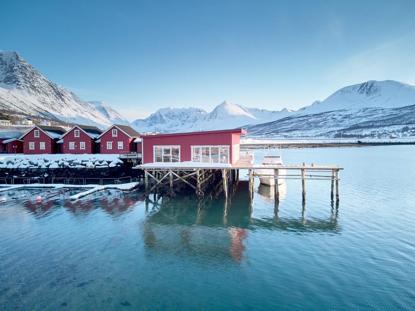 Lyngen: Snowmobile Safari with Lunch in seaside Restaurant - Fjord Views and Photo Stops: What You Will See When the Snow Settles