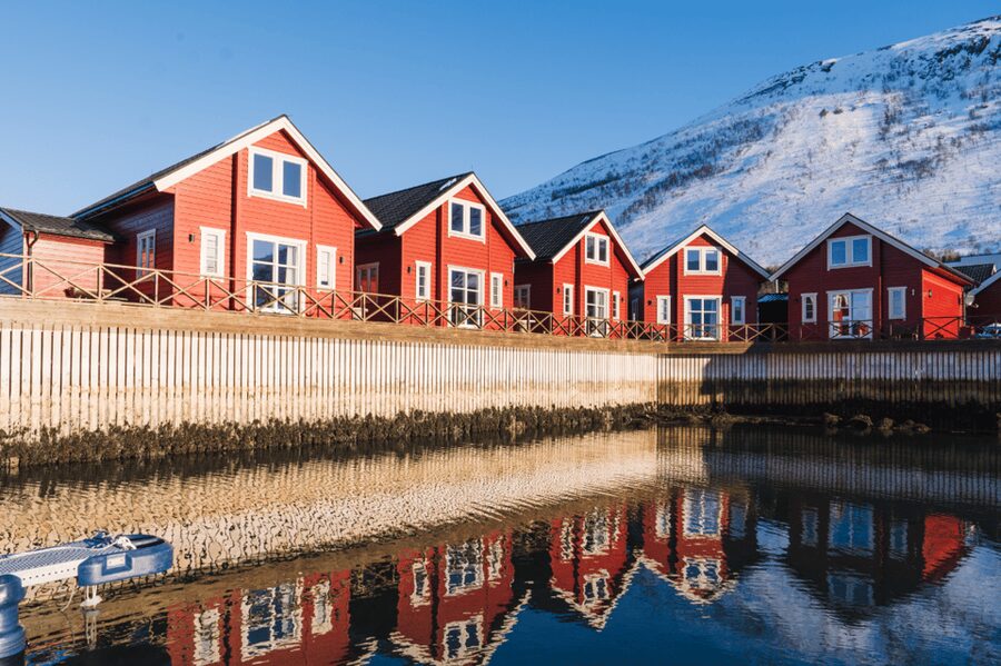 Lyngen: Snowmobile Safari with Lunch in seaside Restaurant - Who Should Book This Snowmobile Safari (and Who Should Skip It)