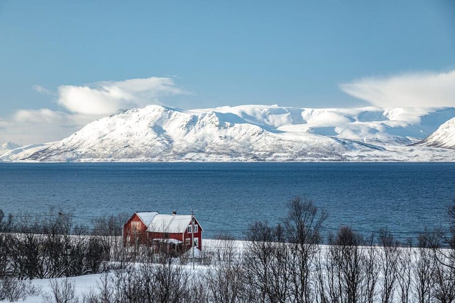 Lyngen: Snowmobile Safari with Lunch in seaside Restaurant - Lunch at Bøteriet: Warm Soup, Sweet Snack, and a Real Break