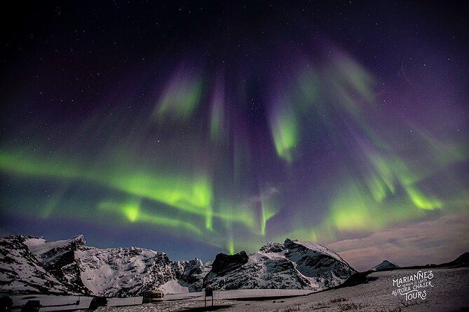 Marianne’s Heaven On Earth Aurora Chaser Tours - UFO and UAP spotting on the same night as aurora hunting