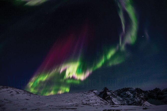 Marianne’s Heaven On Earth Aurora Chaser Tours - Where you meet, and how drop-off works after the long night