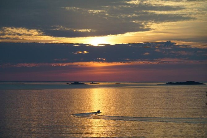 Midnightsun- Eco friendly Tesla Model X - Small group privacy in Tromsø, up to 5 per booking