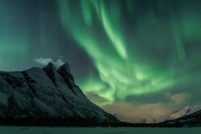 Minibus Northern Lights Chase with Photography from Tromsø - Why a Minibus Northern Lights Chase Beats a Big Bus on the Same Night