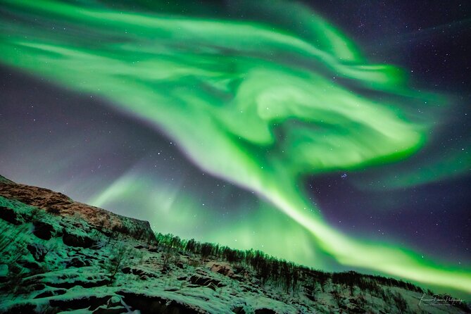 Minivan Northern Lights excursion (8 guests per minivan) - Photo help when you do not own a camera (and the tripods if you do)