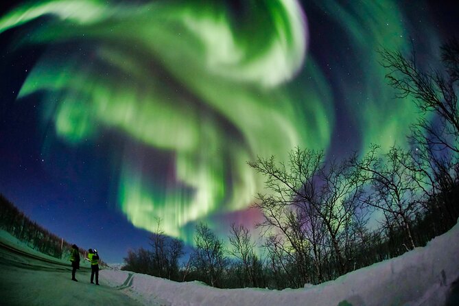 Minivan Northern Lights excursion (8 guests per minivan) - Tea, coffee, and muffins: small comforts that keep you outside longer