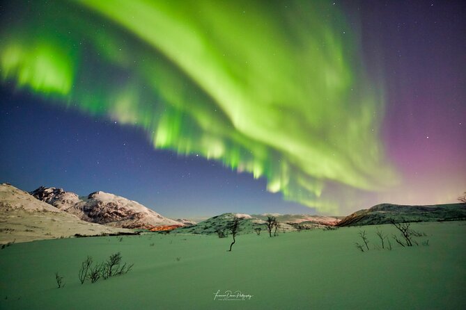 Minivan Northern Lights excursion (8 guests per minivan) - How the guides steer the night: science talk plus real driving decisions