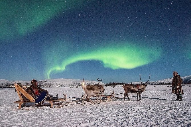 Night Reindeer Sledding with Camp Dinner and Chance of Northern Lights - Key highlights to look for before you go